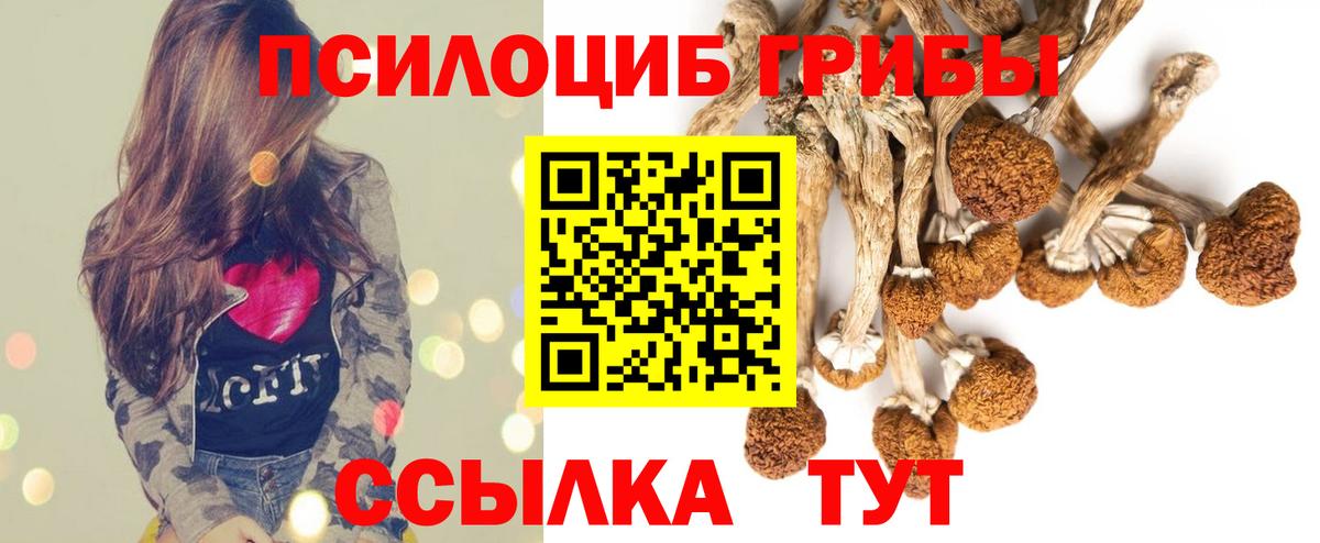 Псилоцибиновые грибы прущие грибы Бийск